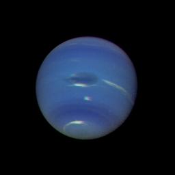 Planta Neptn